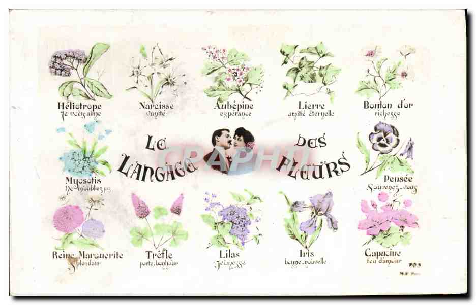 CPA Fantaisie Langage des Fleurs 