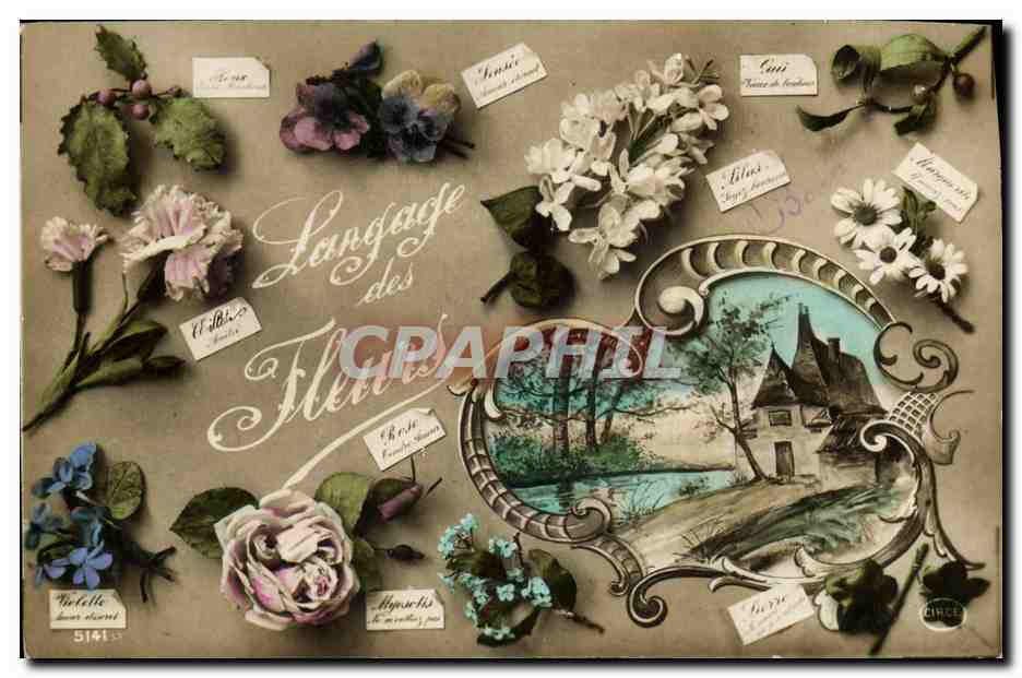 CPA Fantaisie Langage des Fleurs 