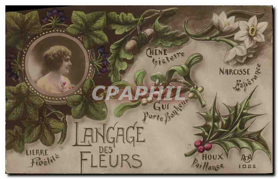 Langage des Fleurs — Lierre, Chêne, Narcisse, Houx — éditeur AA n° 1085