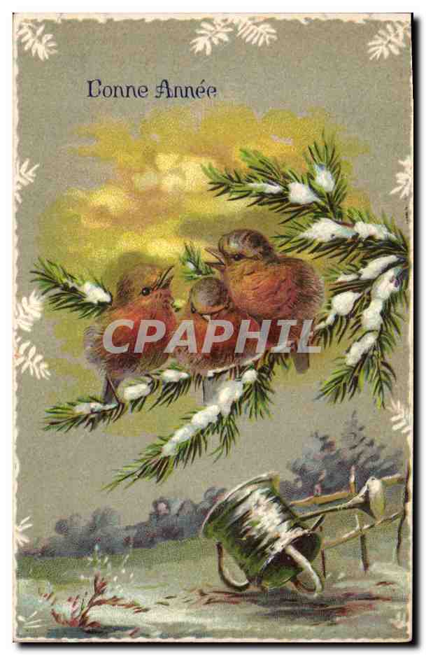 CPA Fantaisie Fleurs Oiseaux Bonne annee 