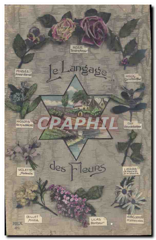 CPA Fantaisie Le langage des Fleurs Rose Pensee Myosotis Violette Oeillet Houx Gui Lierre Marguerite 