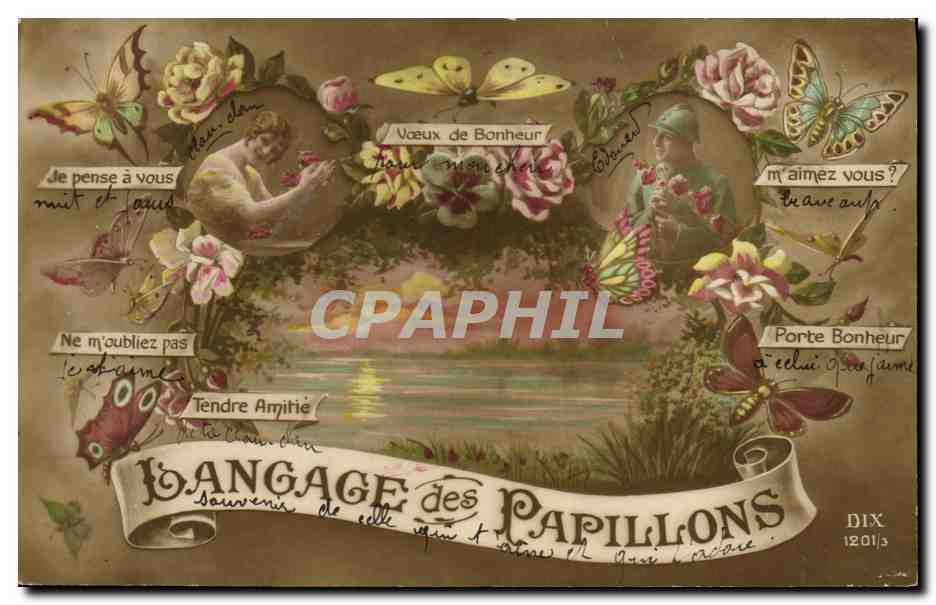 CPA Fantaisie Fleurs Langage des papillons 