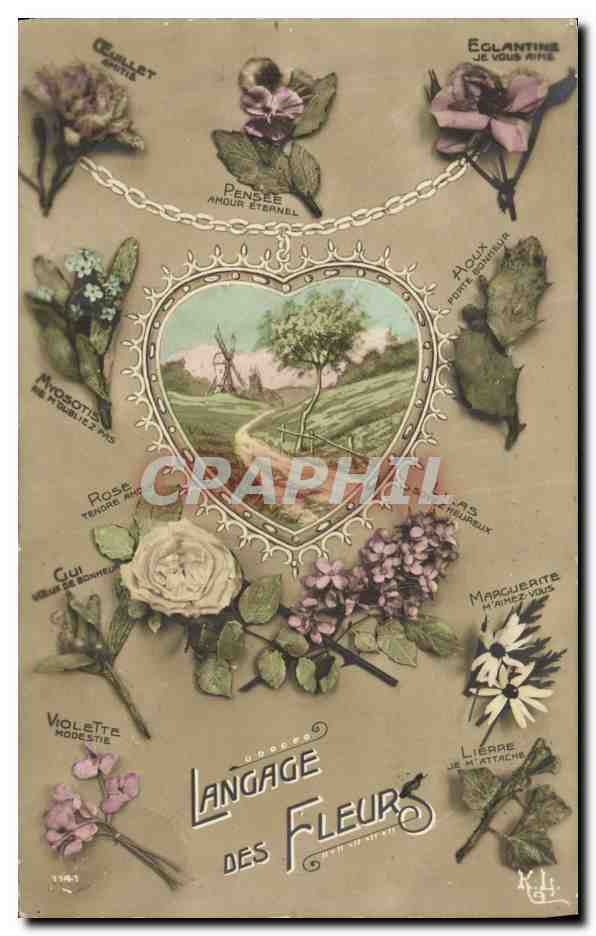 CPA Fantaisie Le langage des Fleurs 
