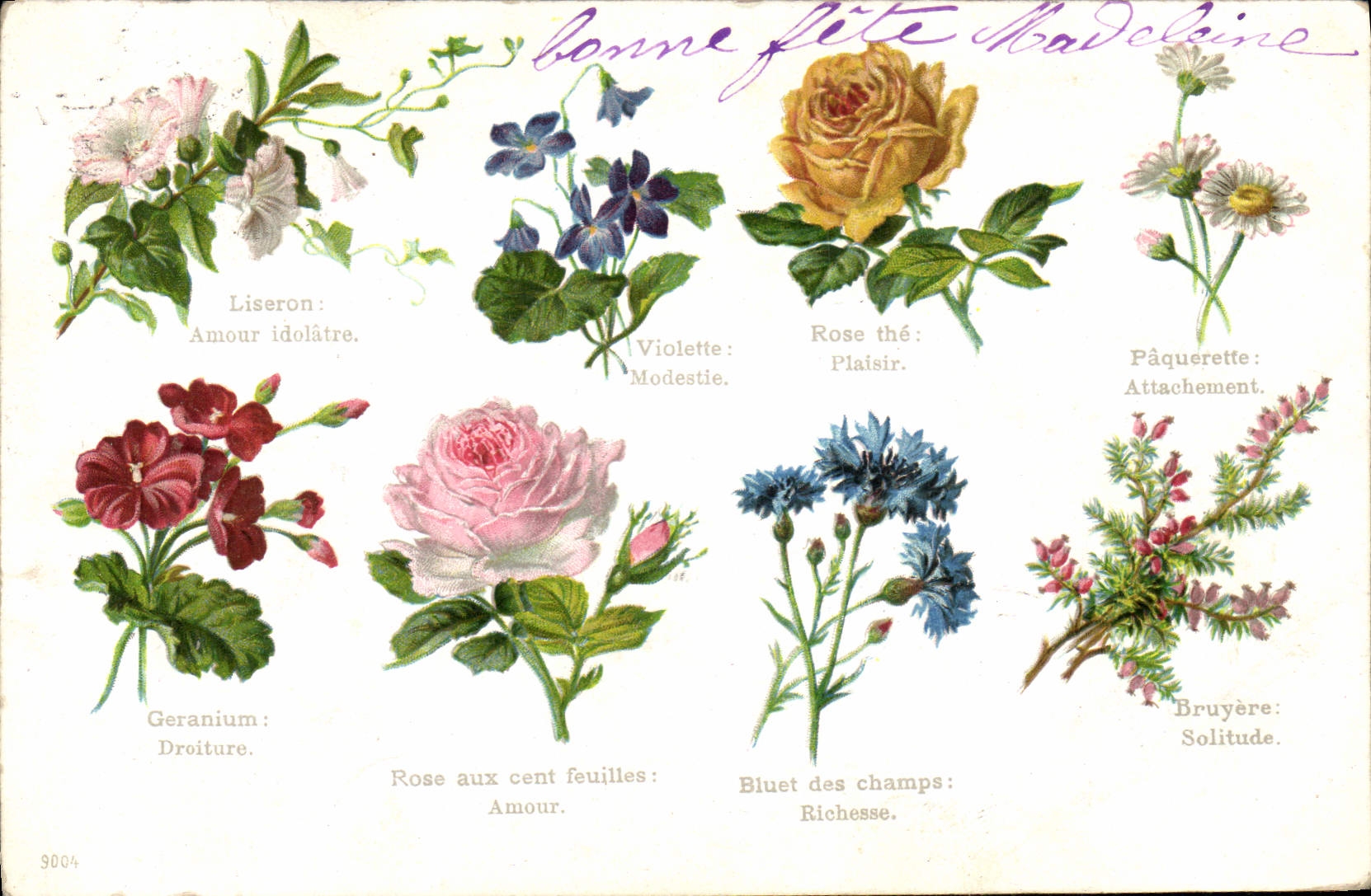 Fleurs symboliques — Carte postale illustrée — Éditeur H.P. Cottelier, Paris, n° 9004