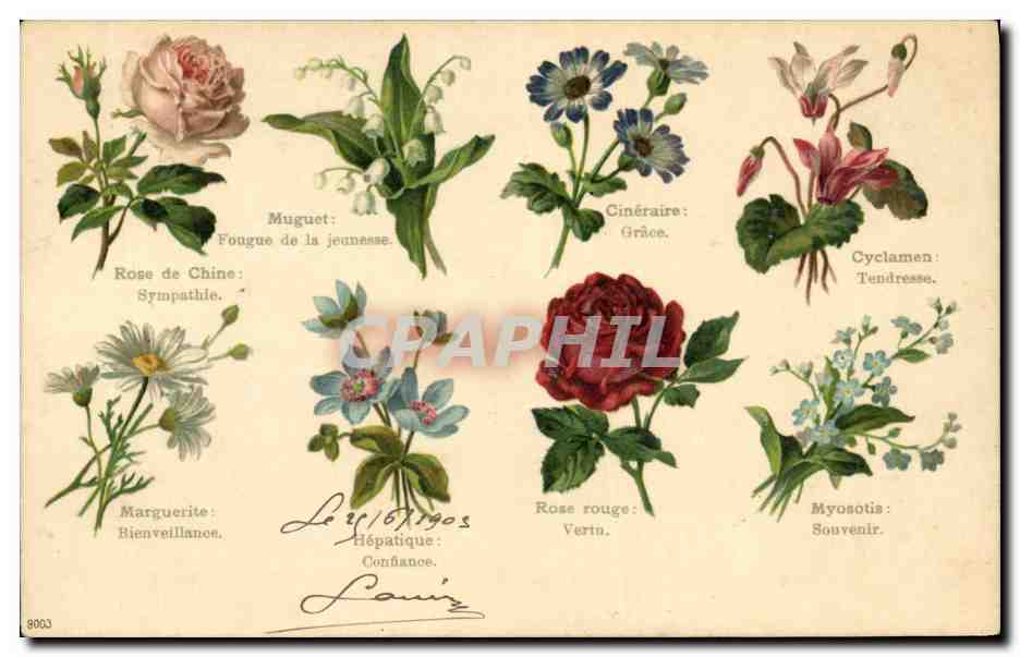 CPA Fantaisie Le langage des Fleurs 