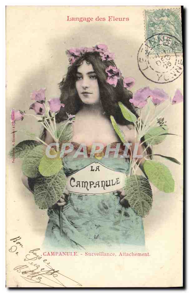 La Campanule — Langage des Fleurs — Poitrine A. Stanley & Cie, série 1900