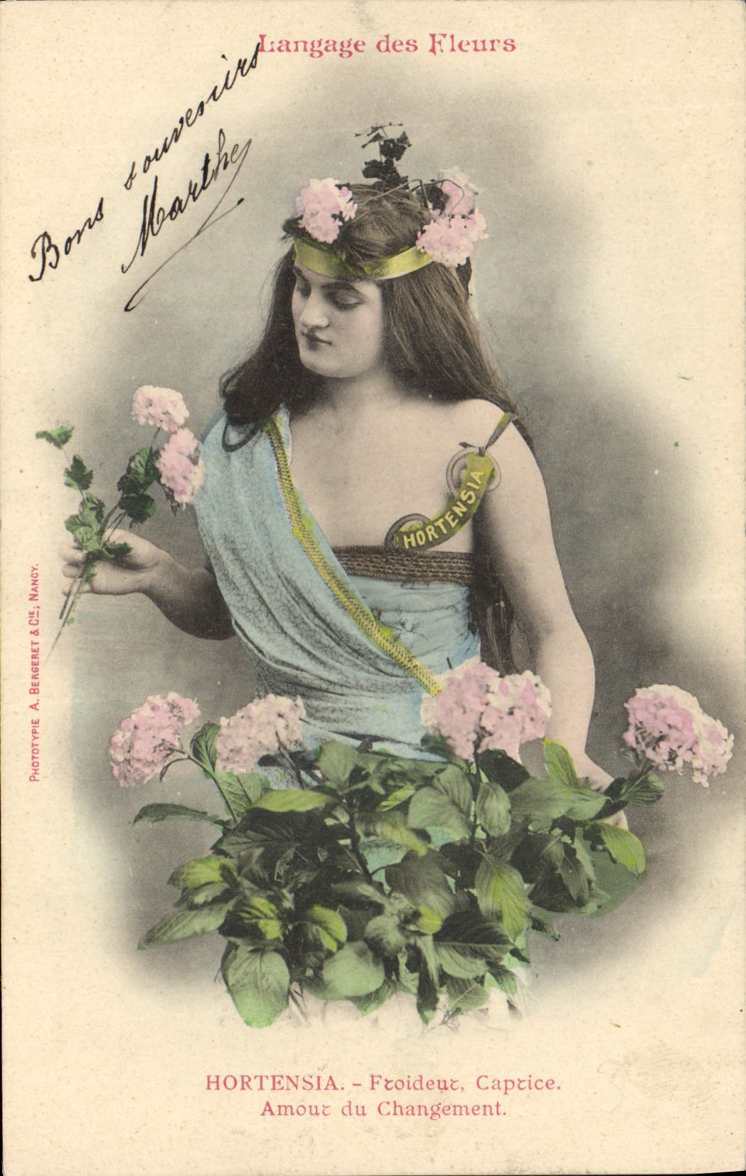 Hortensia — Langage des Fleurs — Phototype A. Bergeret & Cie, Nancy