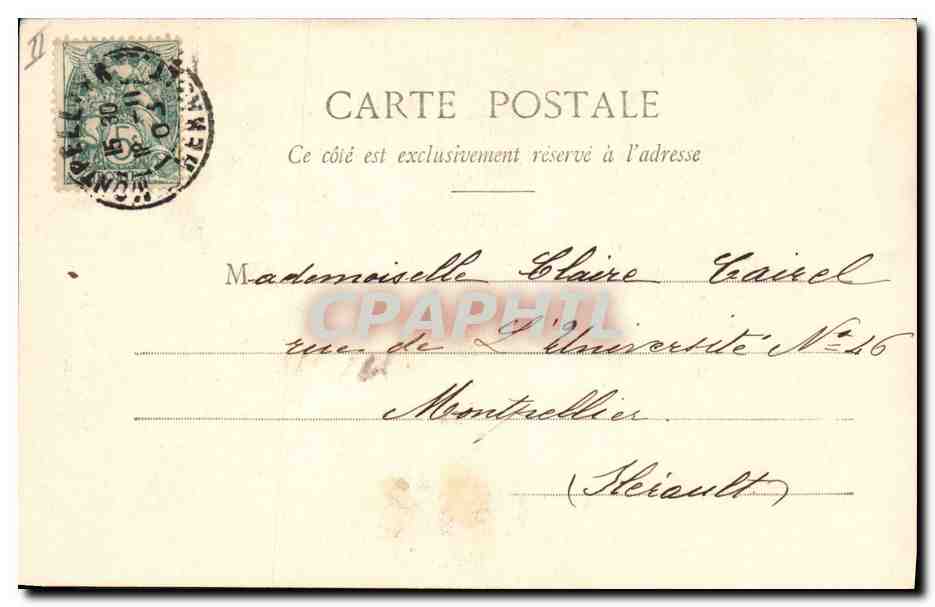 Hortensia — Langage des Fleurs — Phototype A. Bergeret & Cie, Nancy — Reverso