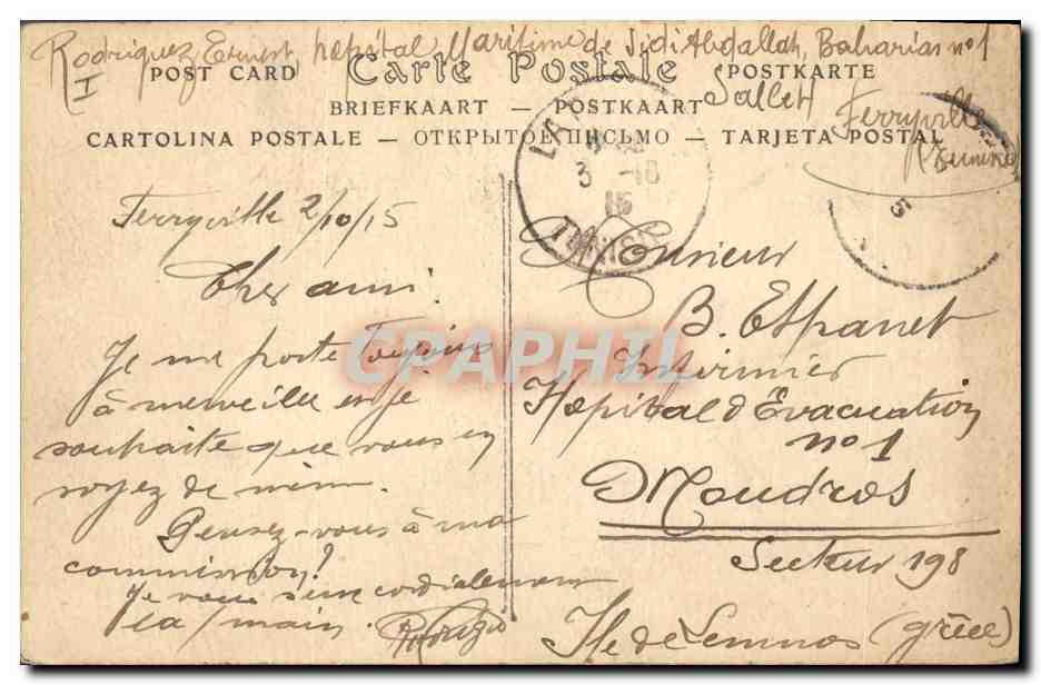 CPA Palmiers portant leurs regimes de dattes  — Verso