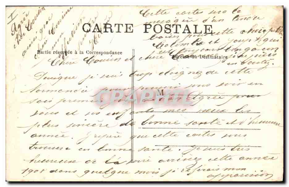 CPA Nice L'allee des Palmiers au chateau  — Rückseite