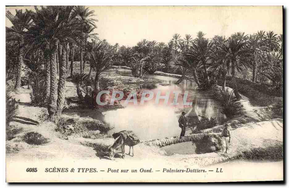 CPA Palmiers dattiers Pont sur un oued 