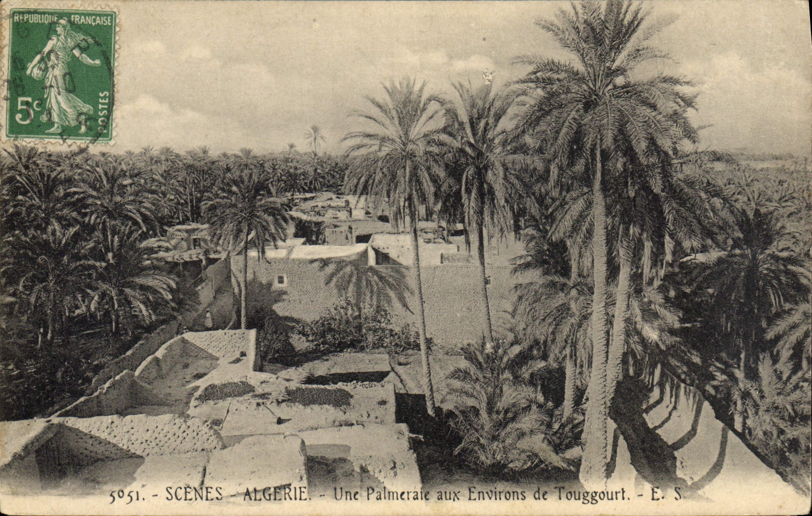 CPA Palmiers Algerie Une palmeraie aux environs de Touggourt 