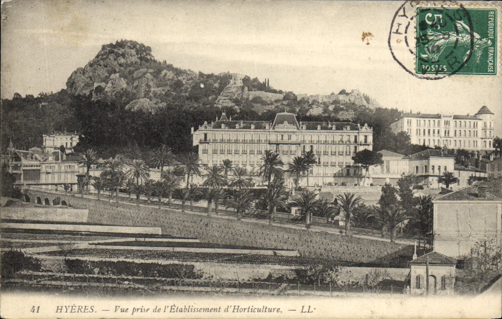 CPA Palmiers Hyeres Vue prise de l'etablissement d'horticulture 