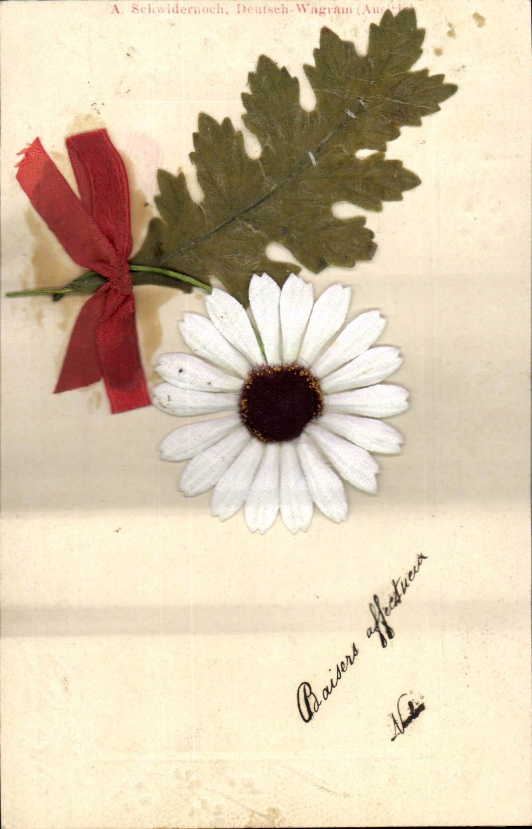 CPA Fantaisie Fleurs