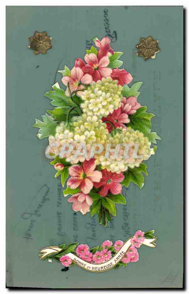 CPA Fantaisie Fleurs (carte transparente)