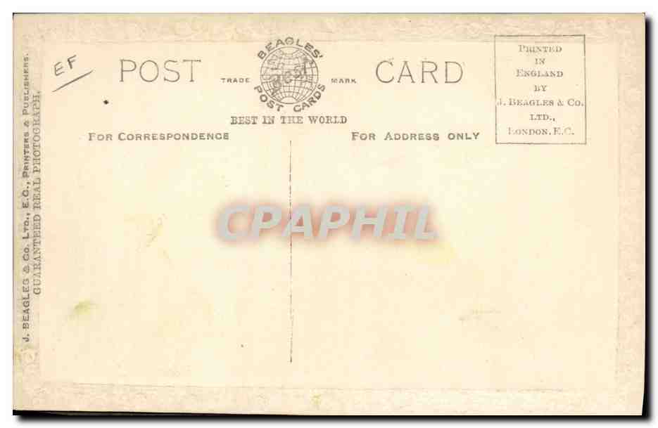 CPM Cinema Mary Pickford & Douglas Fairbanks Chien Chiens TOP  — Verso
