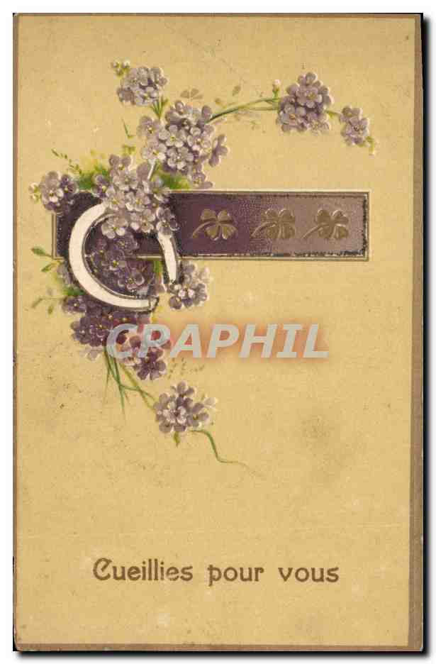 CPA Fantaisie Fleurs Fer a cheval 