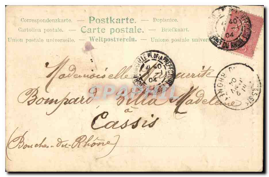 Carte postale de vœux — fleurs de marguerite — éditeur anonyme — Rückseite