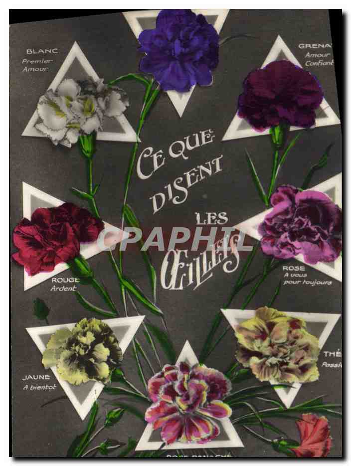 Les Carnations — Ce Que Disent Les Carnations — Made in France