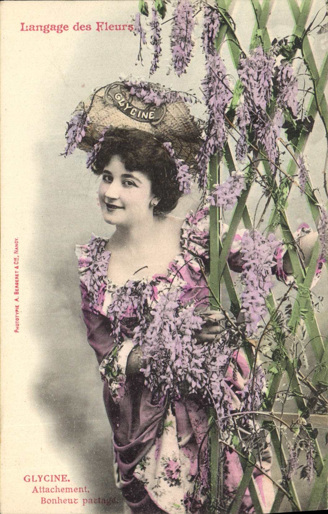 Glycine — Langage des Fleurs — Phototype A. Berberet & Cie, Nancy