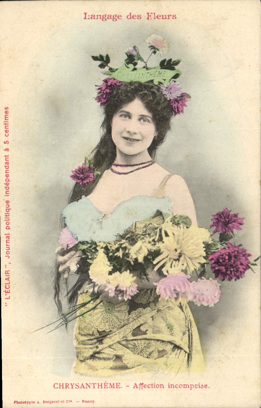 Chrysanthème — Langage des Fleurs — Phototypie A. Bergeret et Cie, Nancy
