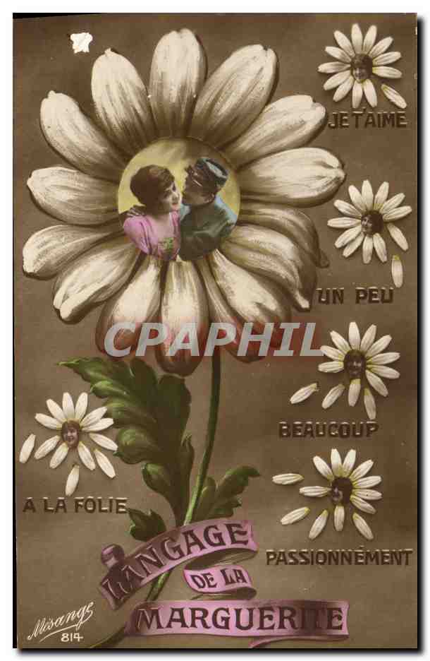 CPA Fantaisie Langage de la marguerite Fleurs 