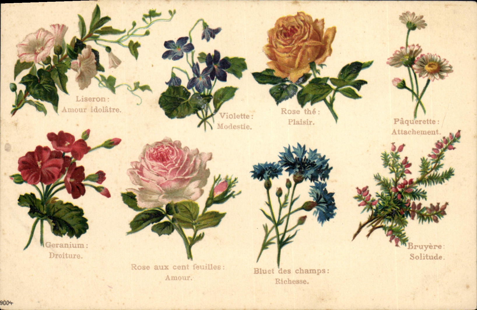 CPA Fantaisie Langage des Fleurs 