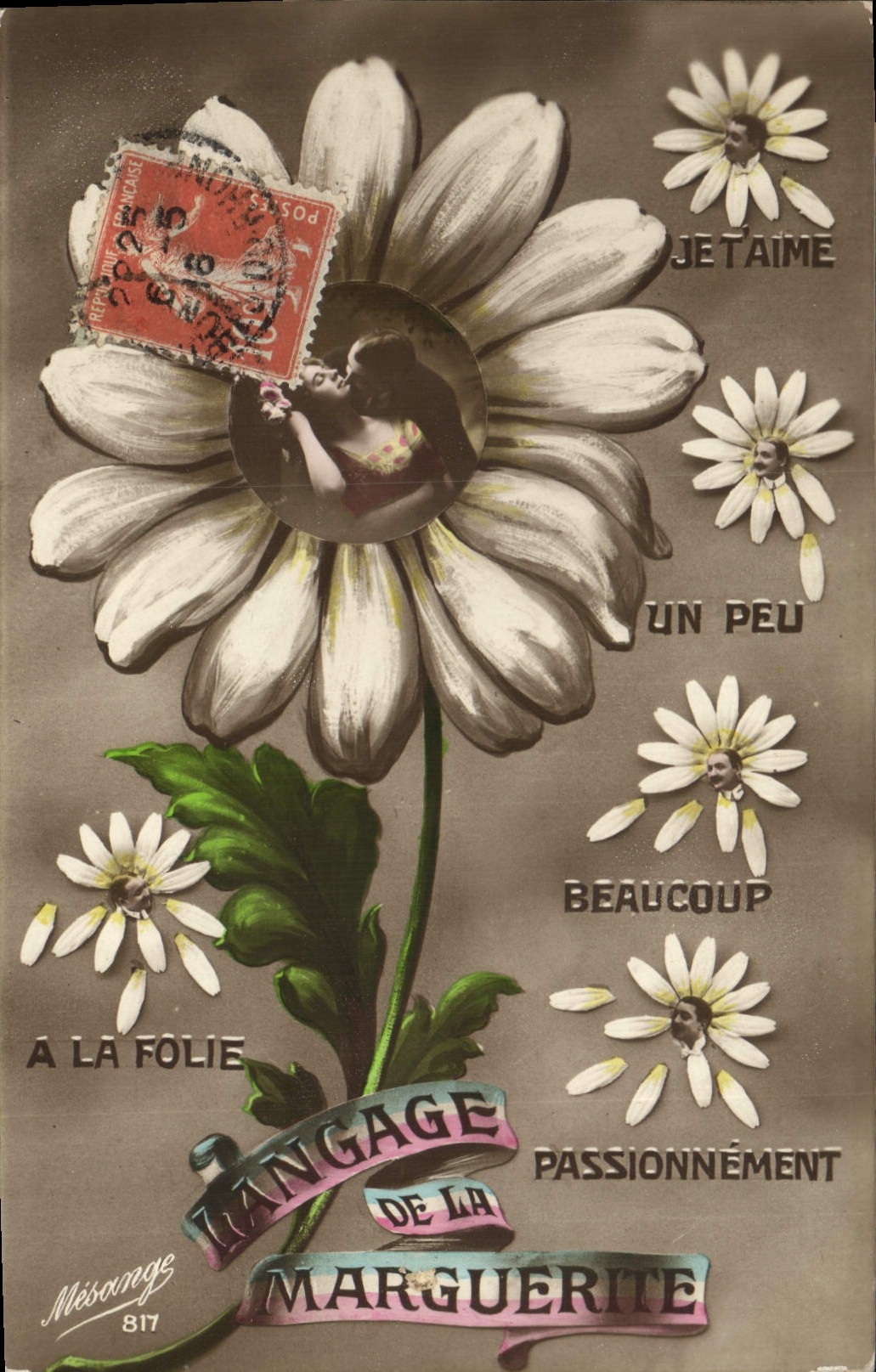 Langage de la marguerite — Mésonge 817