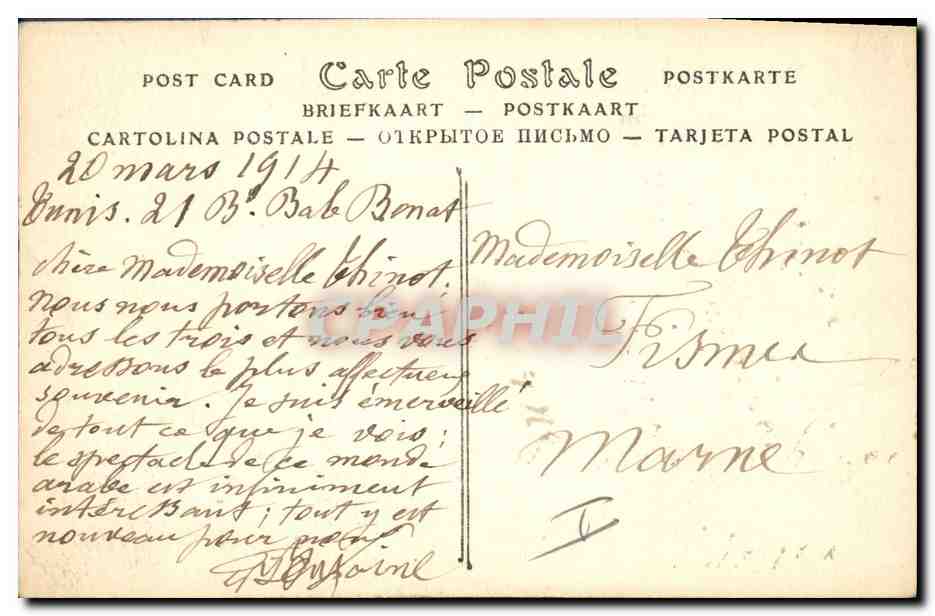 CPA Palmiers Culture du Palmier  — Verso