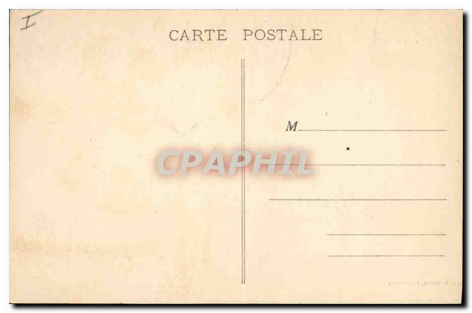 CPA Palmiers Palmier Maroc Une palmeraie  — Verso