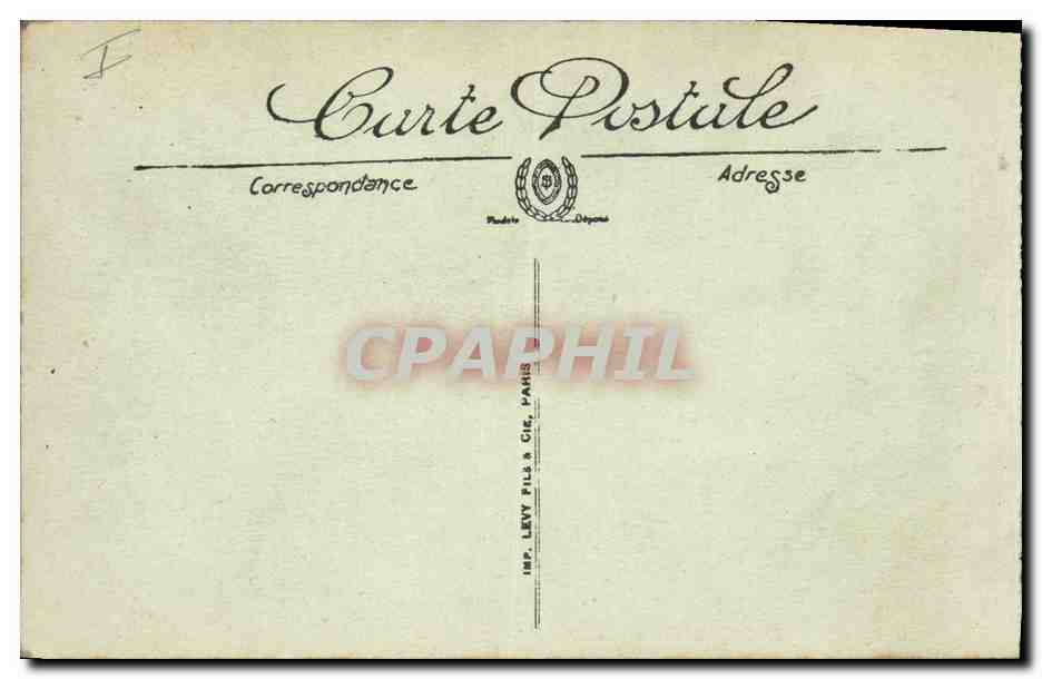 CPA Palmiers Palmier La recolte des dattes Les regimes  — Rückseite