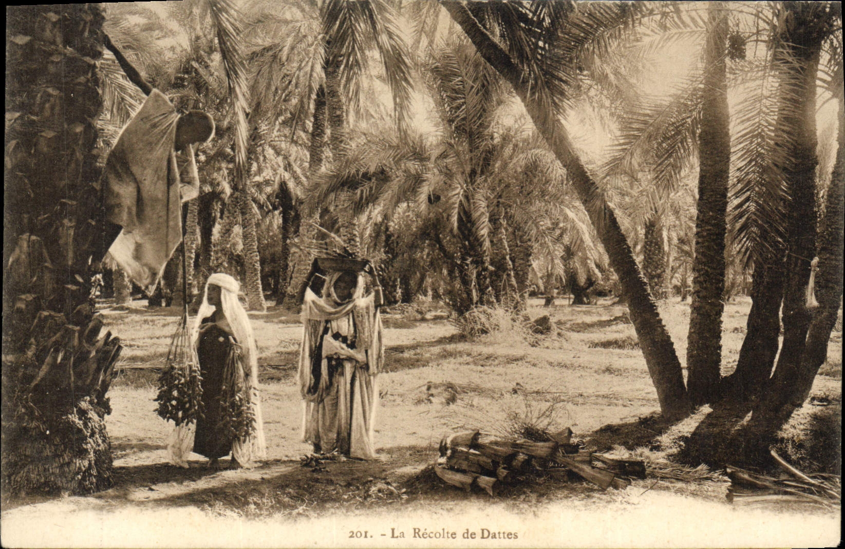La Récolte de Dattes — Série 201 — Éditeur Lohart et Landeck, Tunis