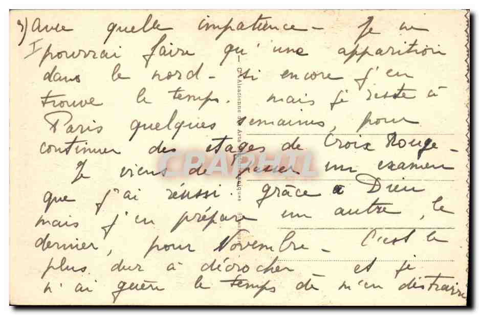 CPA Palmiers Palmier La cueillette des dattes  — Verso