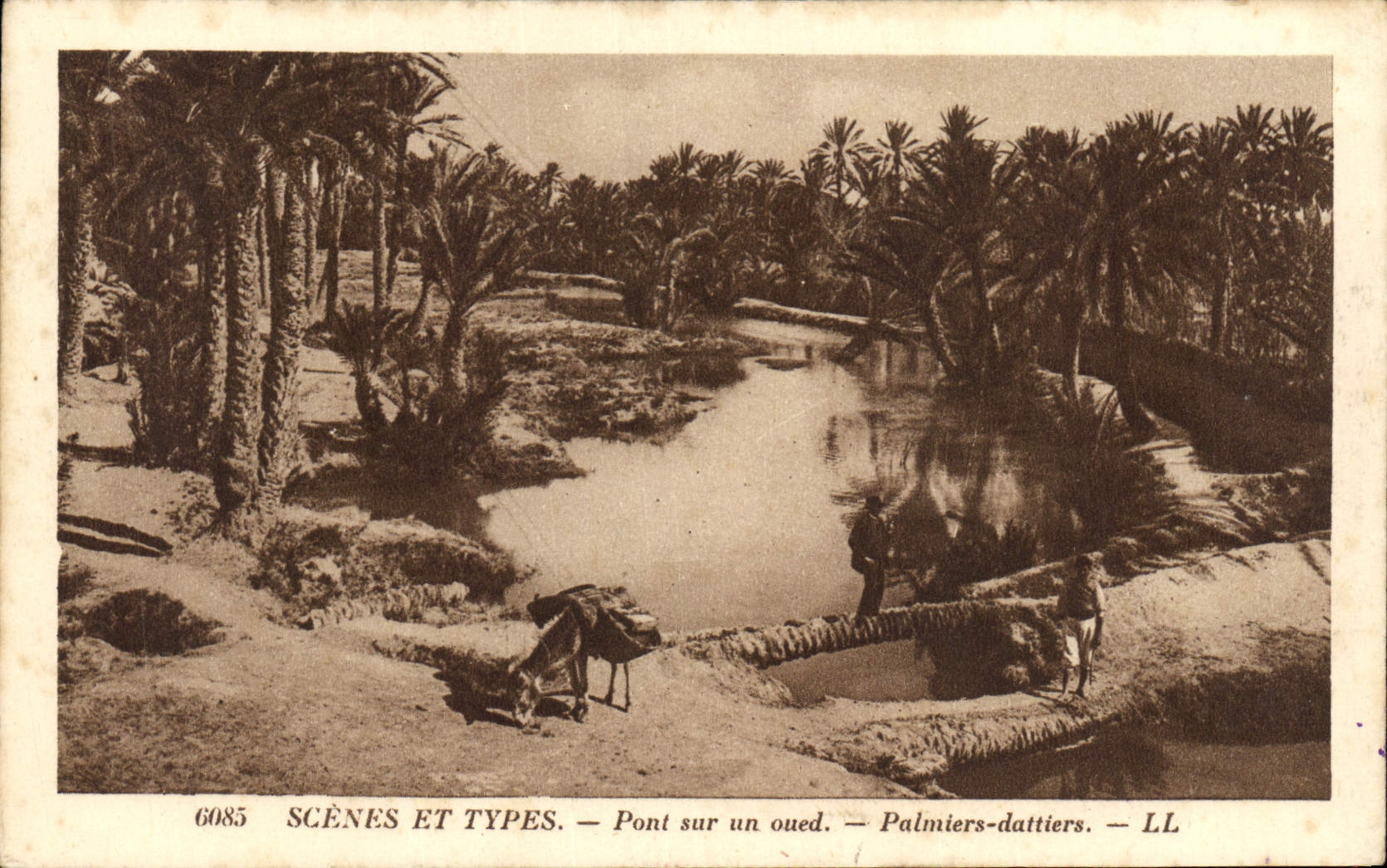 CPA Palmiers Palmier Pont sur un oued Palmiers dattiers 