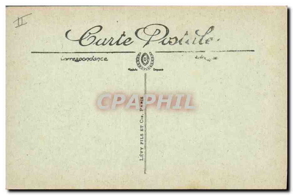 CPA Palmiers Palmier La recolte des dattes Les regimes  — Rückseite