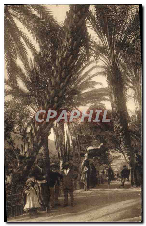 CPA Palmiers Palmier Oran La promenade prise de l'etang 