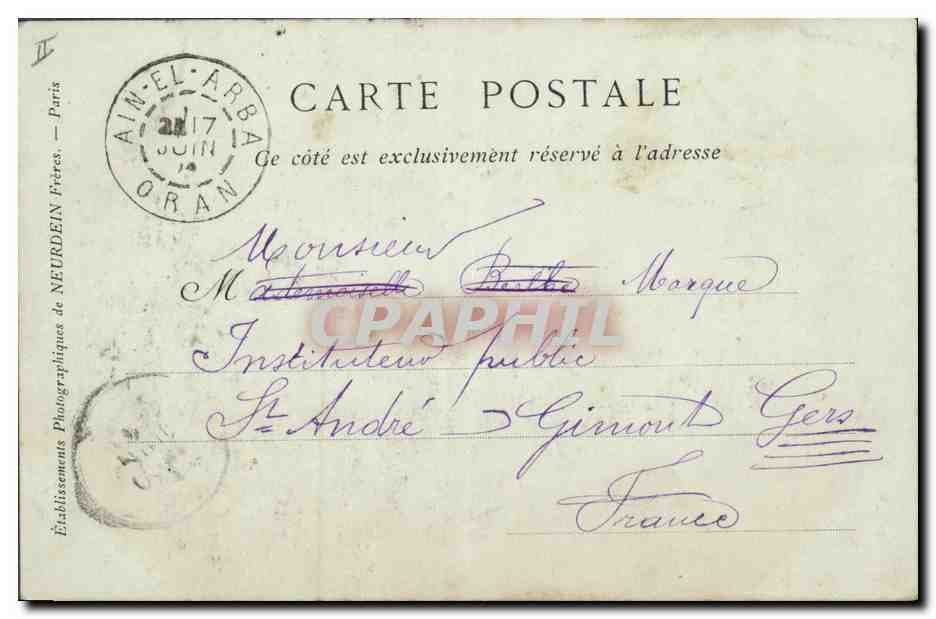 CPA Palmiers Palmier Misserguin Etude de palmiers  — Rückseite
