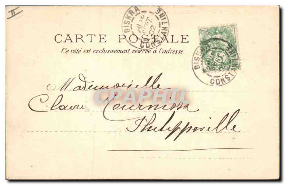 CPA Palmiers Dattiers Palmier  — Verso