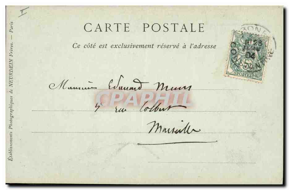 CPA Palmiers Palmier Regime de dattes  — Rückseite