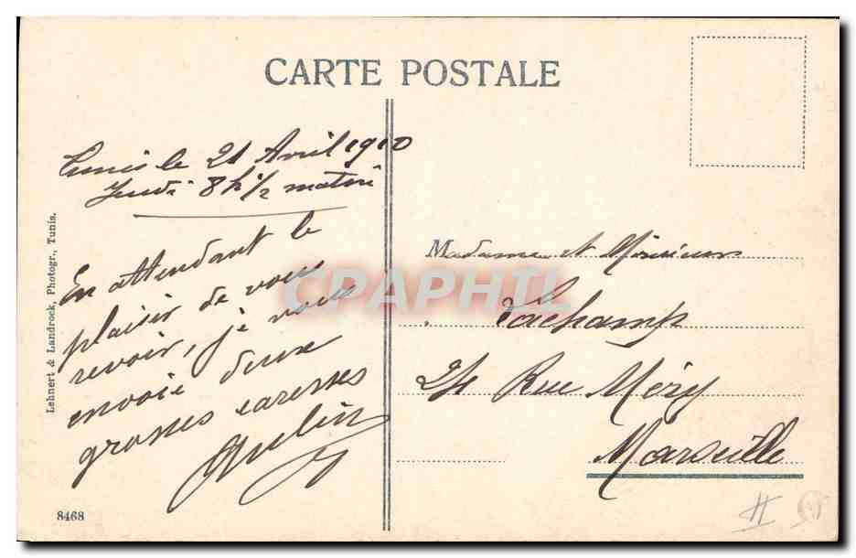 CPA Palmiers Palmier Gabes La recolte des dattes  — Verso