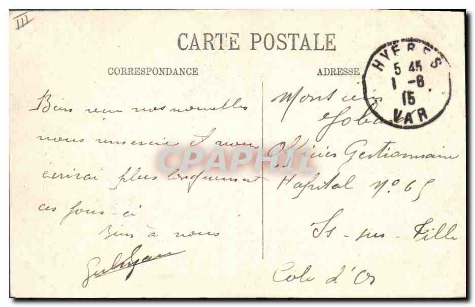 CPA Hyeres Avenue des Palmiers Palmier  — Verso