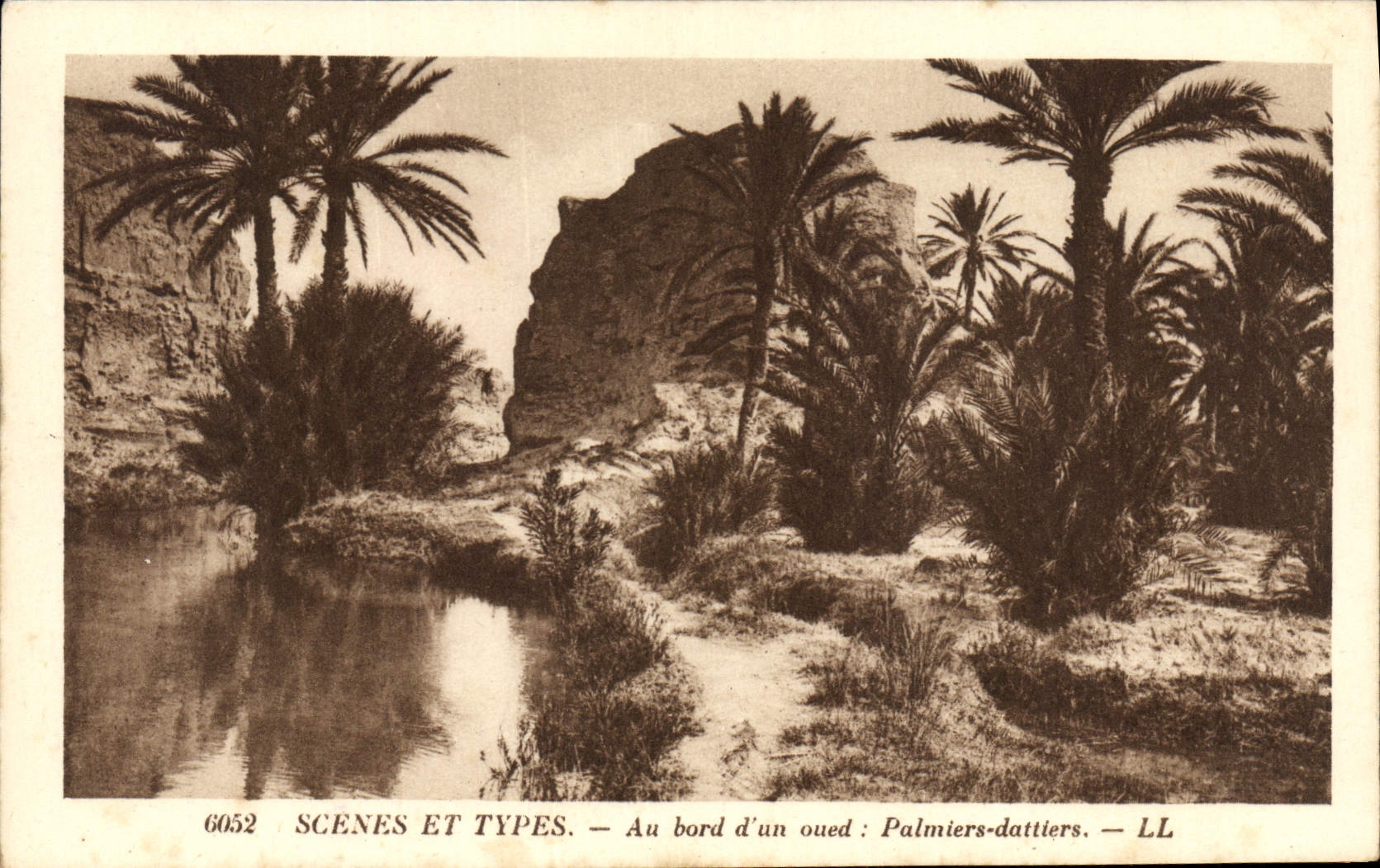 CPA Au bord d'un oued Palmiers Dattiers Palmier 