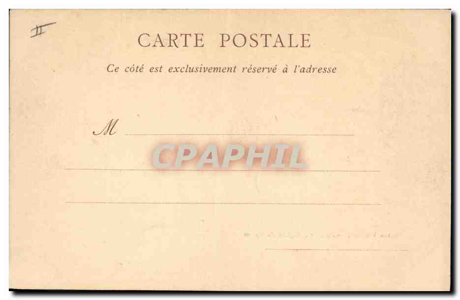 CPA Palmiers Sahara Algerien Regime de dattes Palmier  — Verso