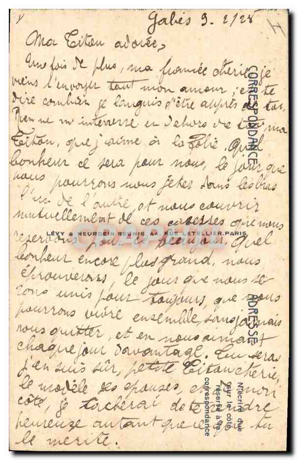 CPA Palmiers dattiers Au bord d'un oued Ane Mule Palmier  — Rückseite