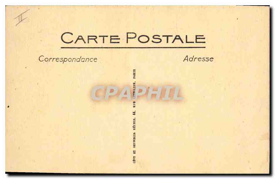 CPA Palmiers Palmier La recolte des dattes Les regimes  — Verso