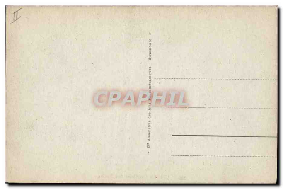CPA Palmiers Palmier La cueillette des dattes  — Rückseite