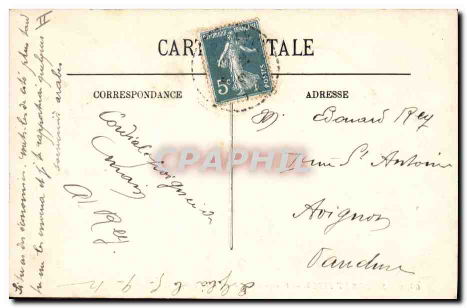 CPA Groupe de Palmiers dans le desert Palmier  — Rückseite