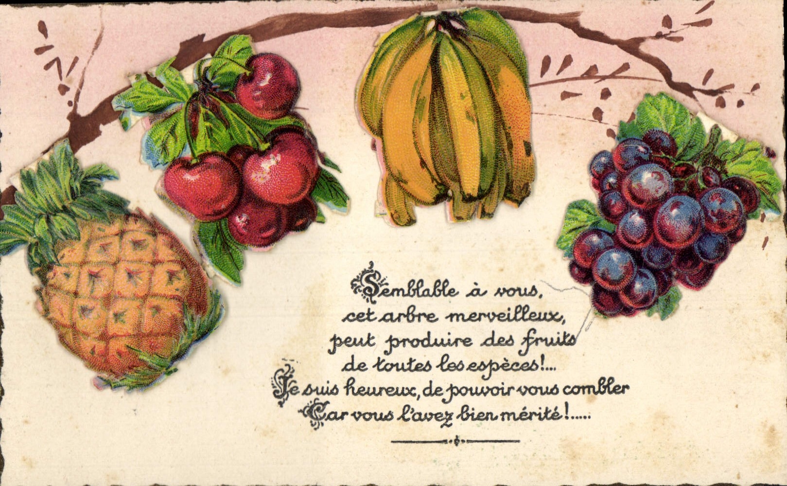 Fruits exotiques — Arbre merveilleux — Carte postale illustrée