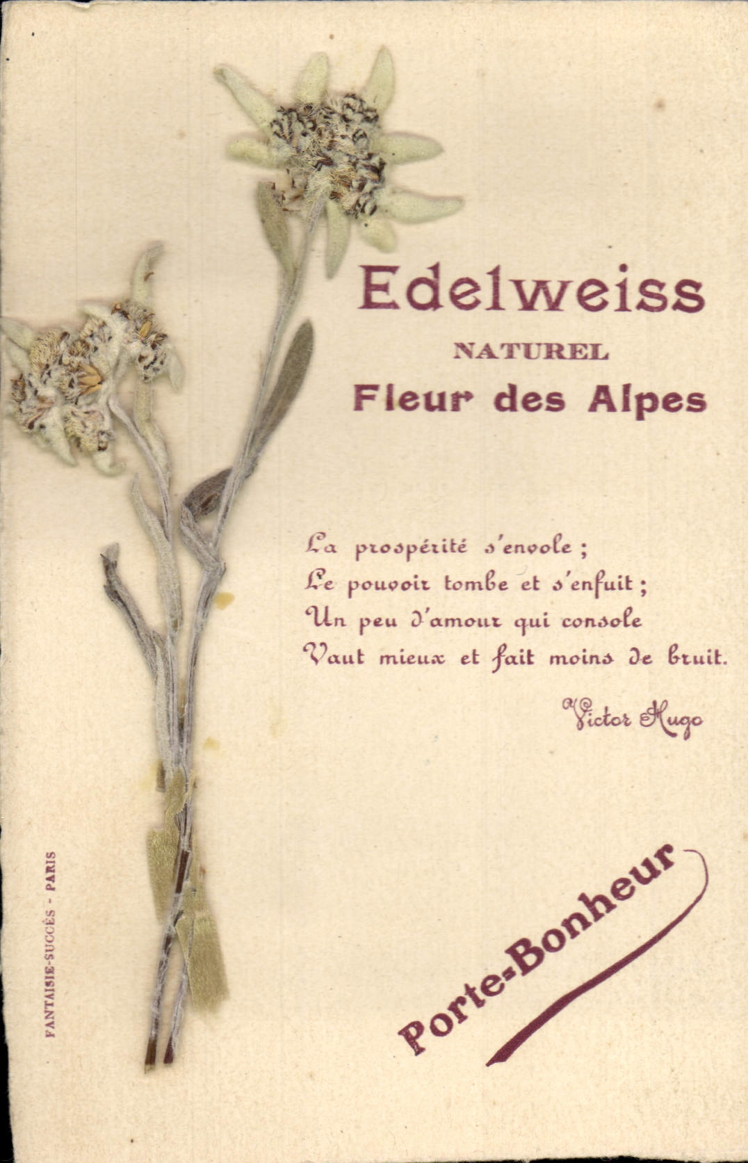 Edelweiss — Fleur des Alpes — Fantaisie-Succès, Paris
