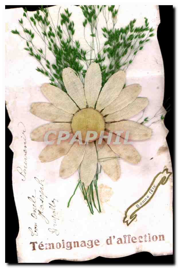 Témoignage d'affection — fleur séchée et herbes — éditeur inconnu